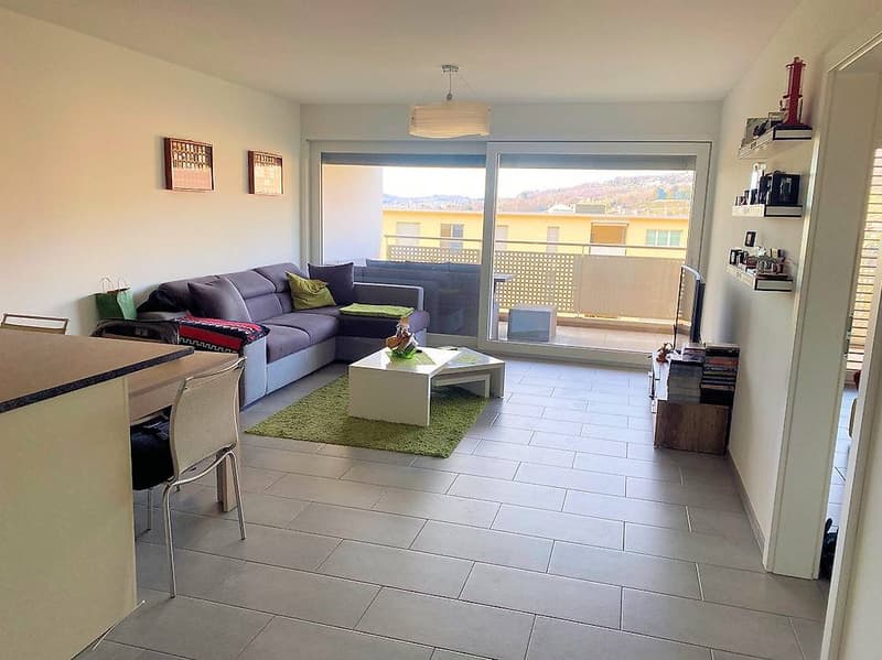 Mendrisio, 2.5 rooms with pool, wellness and park (3)