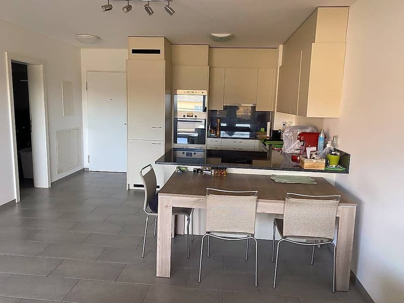 Mendrisio, 2.5 rooms with pool, wellness and park (4)