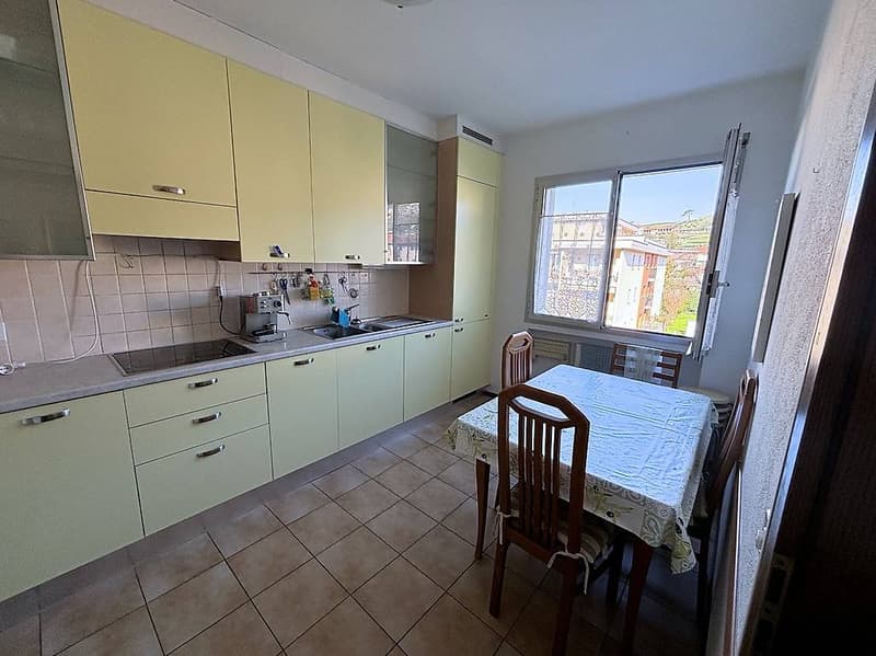 Coldrerio - Spacious 3.5-room apartment with communal garden (5)