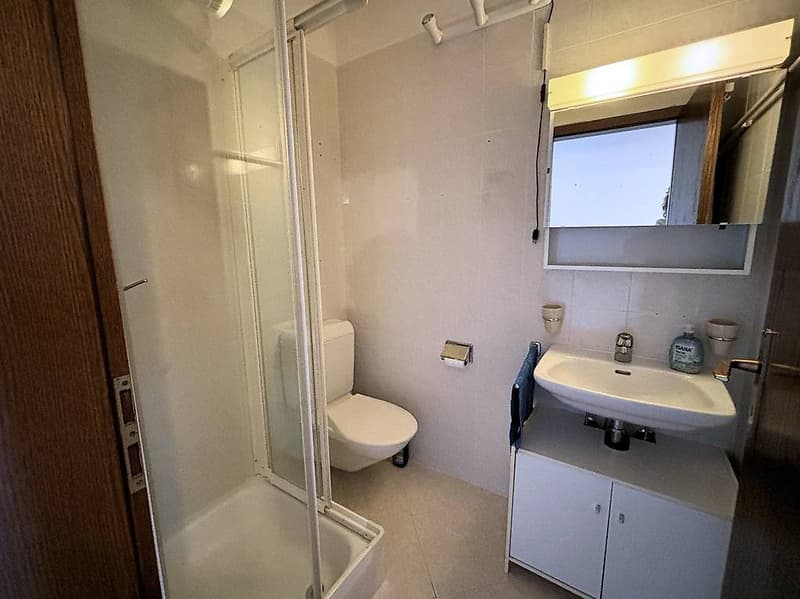 Coldrerio - Spacious 3.5-room apartment with communal garden (11)