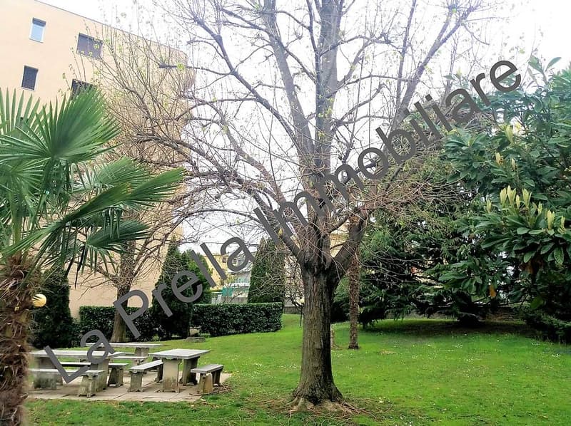 Coldrerio - Spacious 3.5-room apartment with communal garden (1)