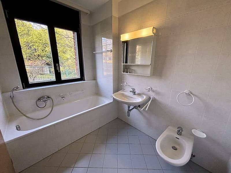 Rovio - 4.5 rooms in magnificent position (10)