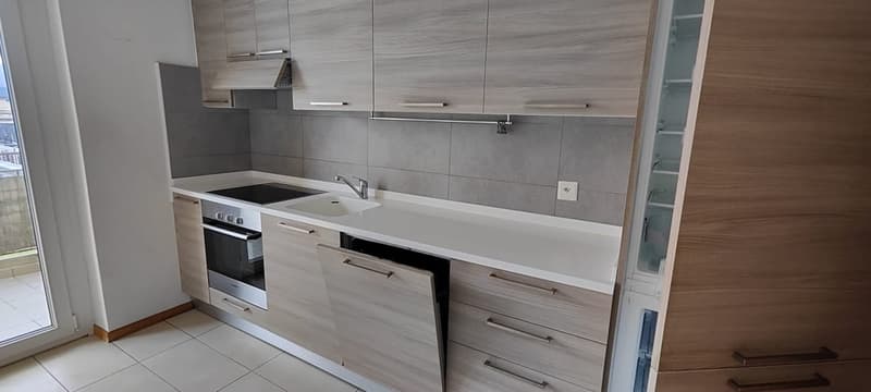 Splendido appartamento 3.5 locali con vista panoramica ad Agno (3)