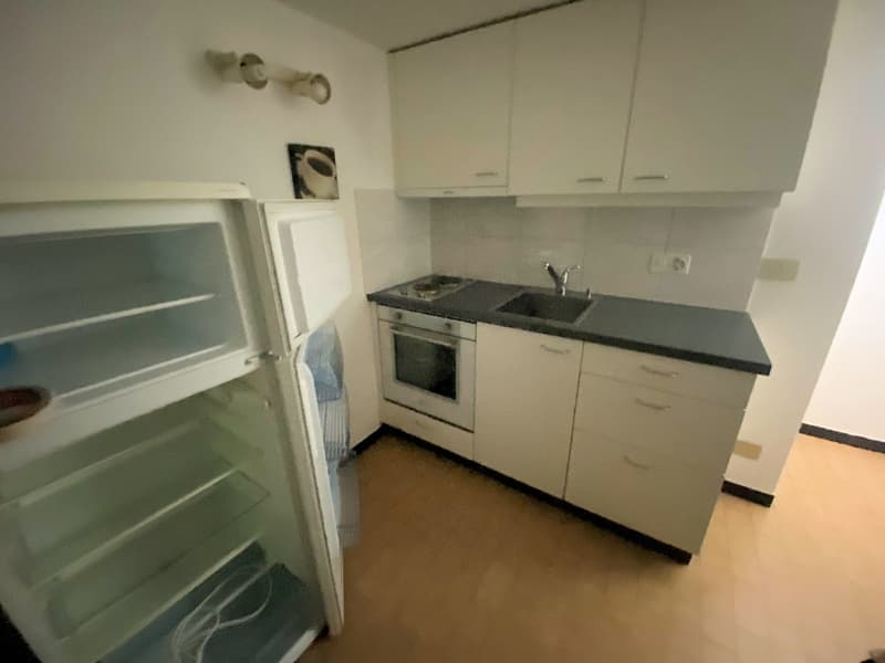 Gemütliche 1.5-Zimmer-Wohnung im Erdgeschoss in Vezia (4)
