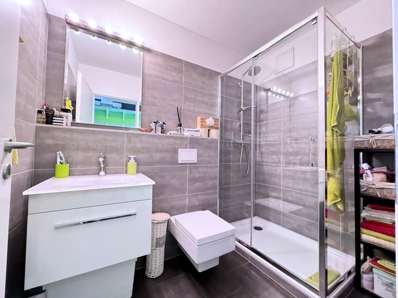 Luminoso appartamento di 2.5 locali con piscina e area wellness (9)