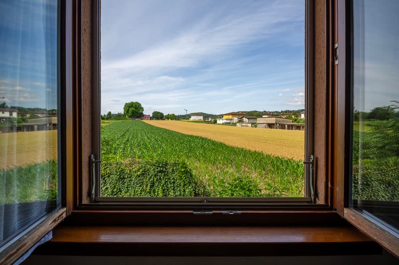 Vista