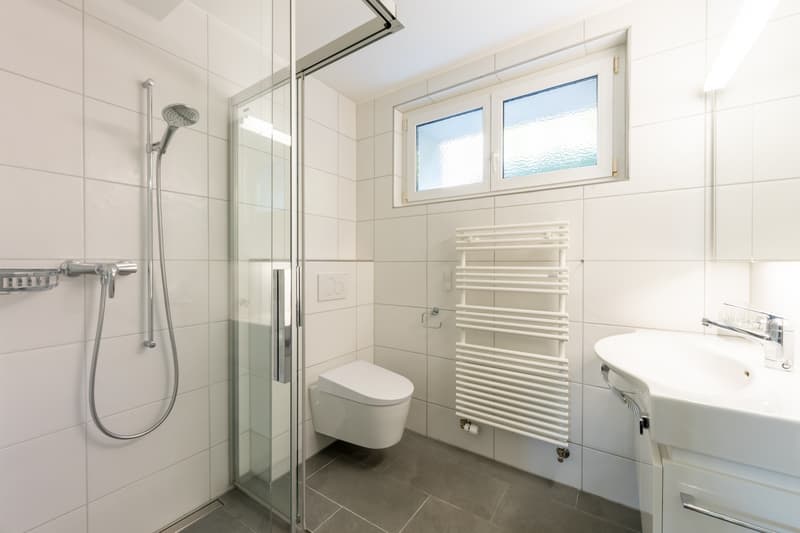 Dusche & WC im EG