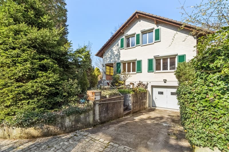 Aussenansicht mit Zugang zum Eingangsbereich und zur Garage