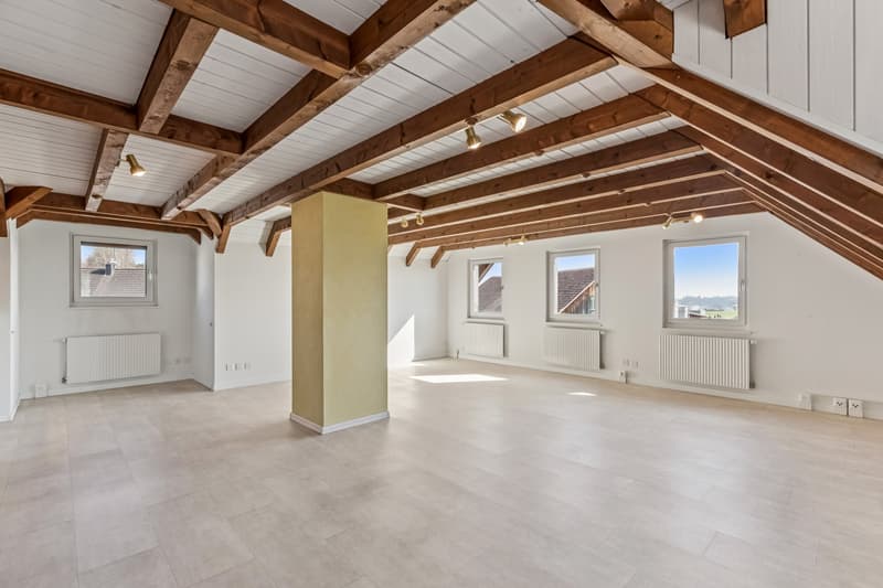 Heller und grosser Wohn- und Essbereich 3. Etage