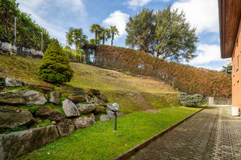 Angolo di verde