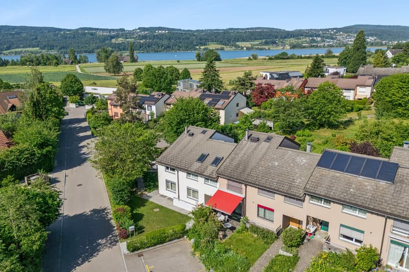Süd-West Ansicht mit Sicht auf den Greifensee