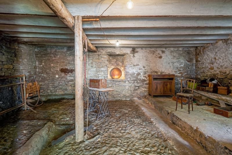 Interno stalla