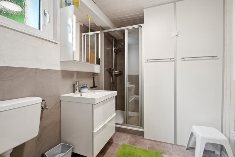UG | Die Dusche und das WC im Untergeschoss ergänzen die Wohnung mit einem vollwertigen Nassbereich