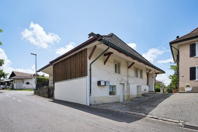 Ein Blick auf die Zufahrt zum Haus mit Zugang zum Keller sowie zur Waschküche, der die praktische Erschliessung des Objekts unterstreicht