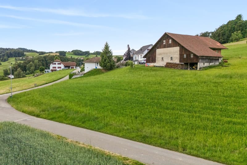 das unbebaute Grundstück aus nordöstlicher Richtung gesehen