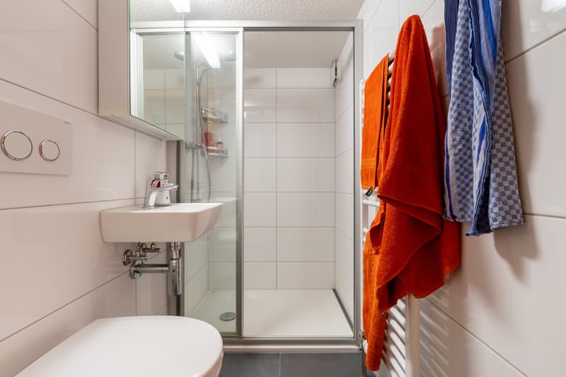 Dusche/WC 2.5 ZWG Neubau