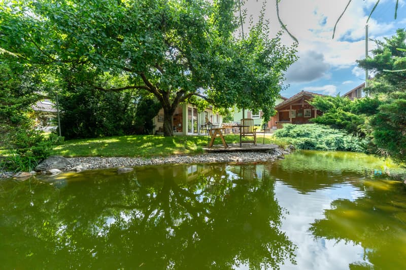 Gartenbereich mit Weiher
