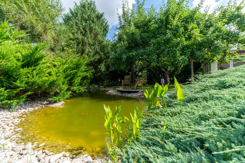 Gartenbereich mit Weiher