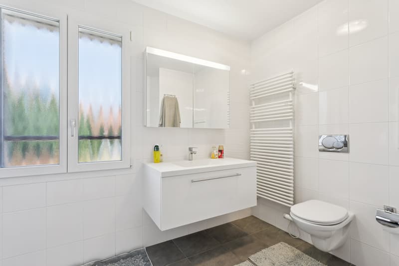 Salle de douche 2.5 pces