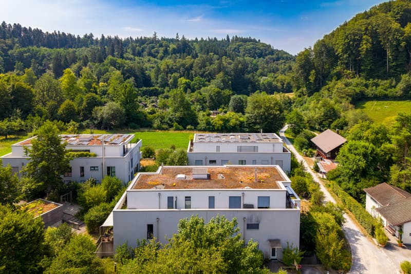 Aussicht ins Grüne