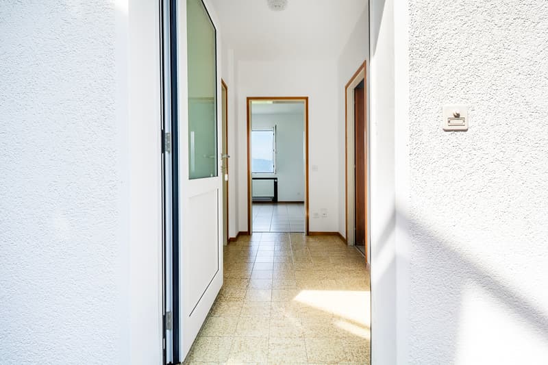 Area d`ingresso