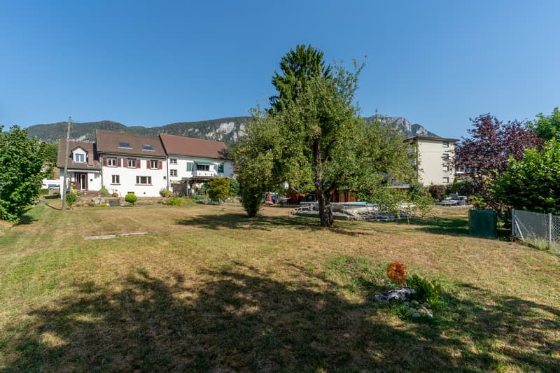 Grosszügiger Garten