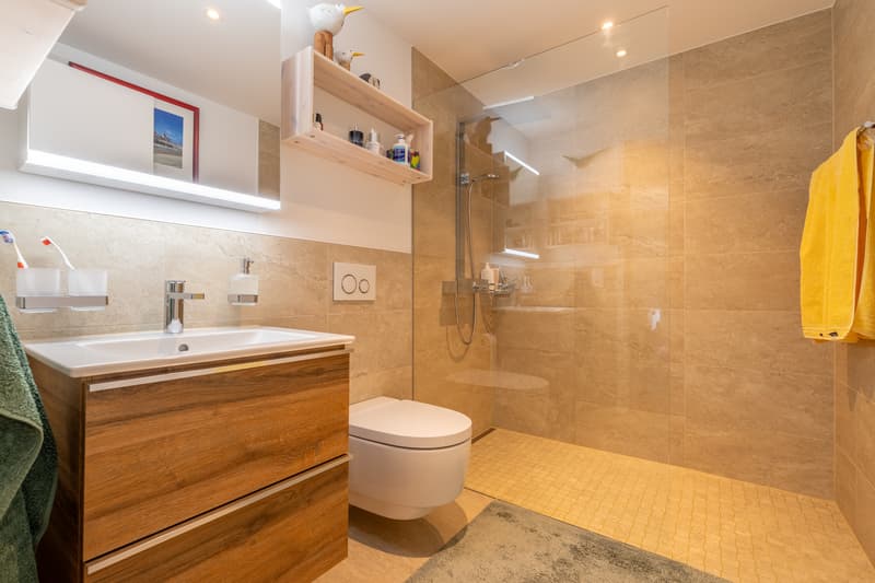 Walk-in Dusche