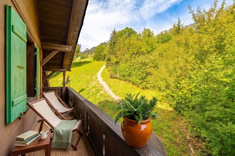Aussicht vom Balkon (Dieses Bild wurde virtuell inszeniert)