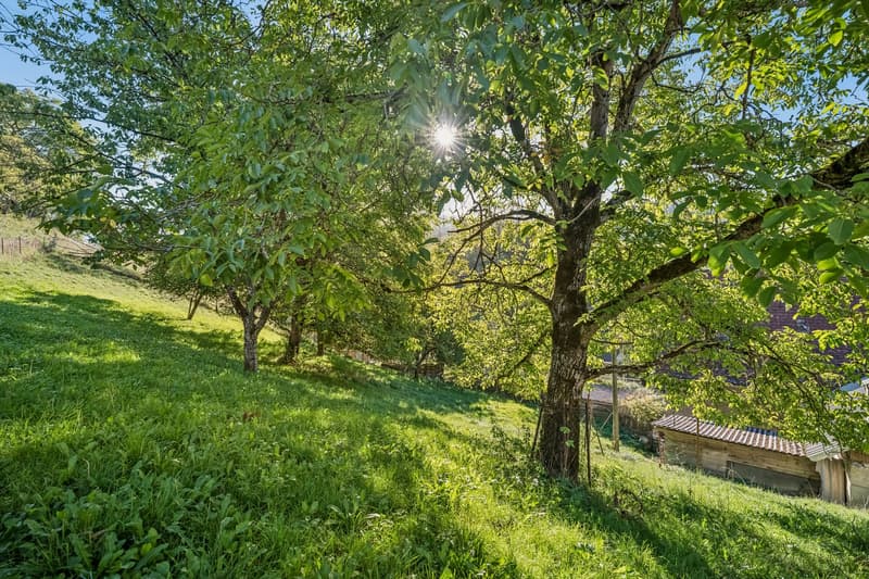 Grosszügige Baulandreserve