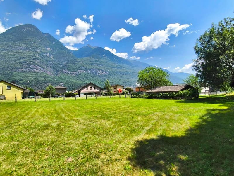Vista