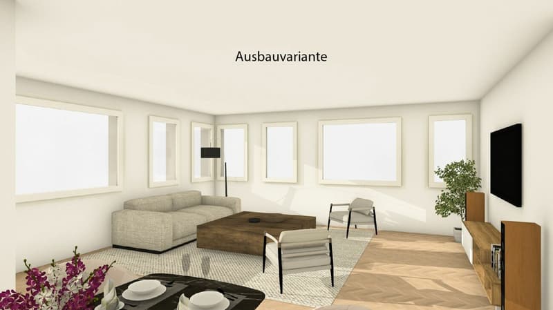 Ausbauvariante