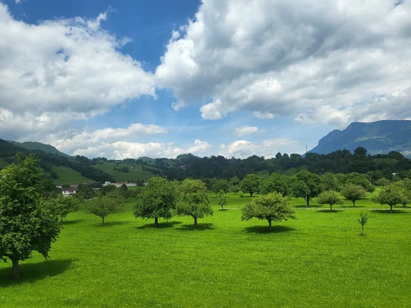 Aussicht