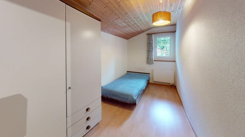 Zimmer DG