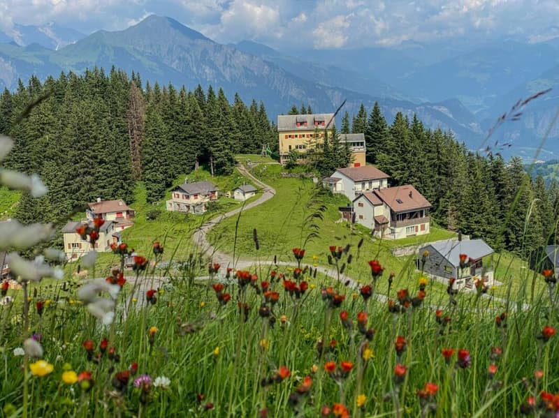 Seltene Gelegenheit im Pizolgebiet - etabliertes Gruppen- und Ferienhaus (18)