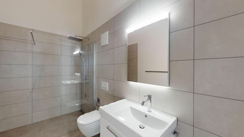 4½ Zi-Dachwohnung im prättigauer Naherholungsgebiet (8)