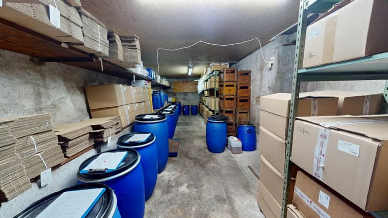 Proprietà commerciale con distilleria e potenziale di sviluppo a Gams (8)