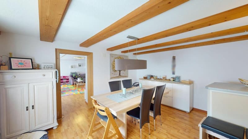House with huge outbuilding total usable area 395m2 (8)
