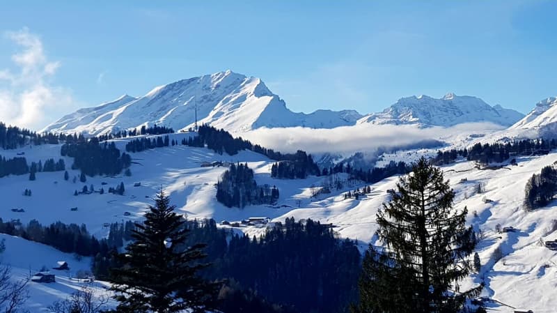 Chalet in Grüsch Cavadura (7)