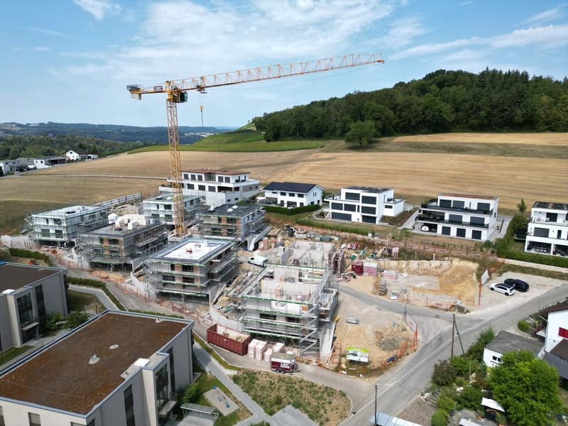 Neubau-Einfamilienhaus - modern und mit eigener Photovoltaikanlage (4)