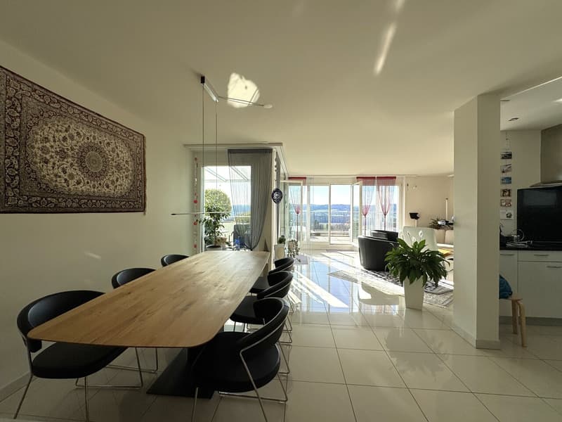 Terrace apartment with impressive panoramic view including two parking spaces (3)