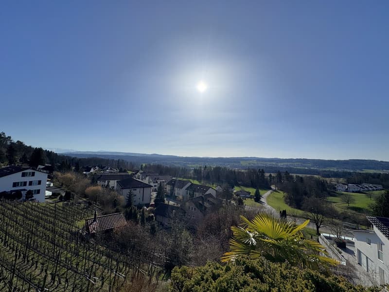 Terrace apartment with impressive panoramic view including two parking spaces (1)