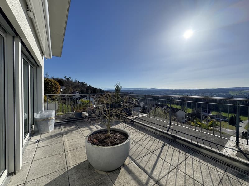 Terrassenwohnung mit beeindruckender Panoramasicht inklusive zwei Parkplätze (1)