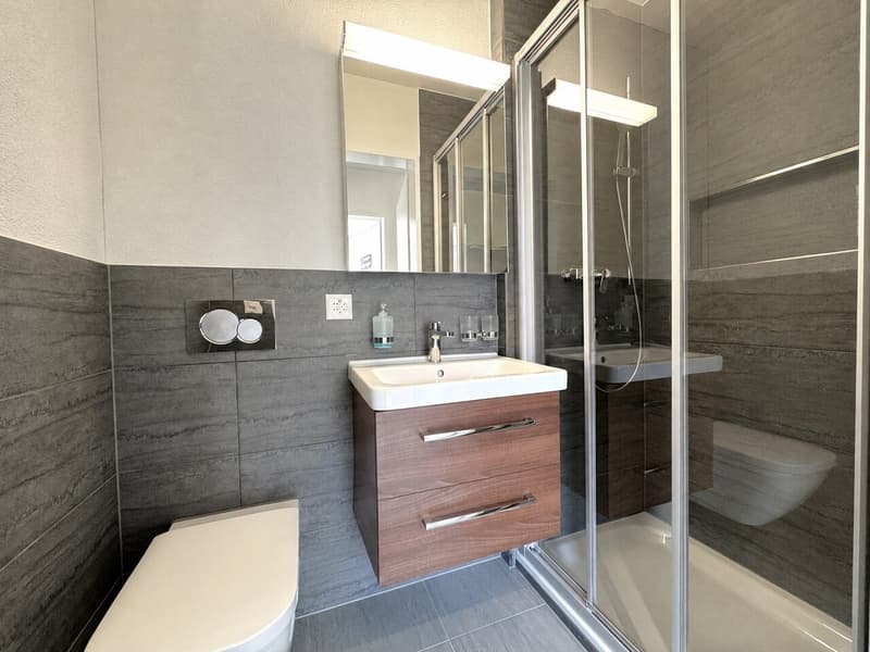 Neuwertige 4.5-Zimmer-Wohnung mit Altstadtblick in Klingnau (5)