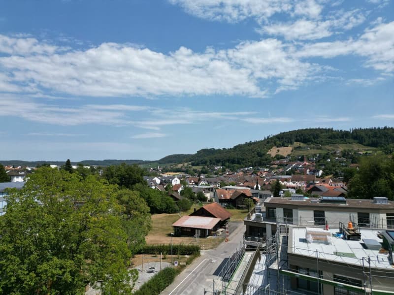 Exklusive Neubau-Attikawohnung mit Weitsicht inklusive zwei Parkplätze (3)