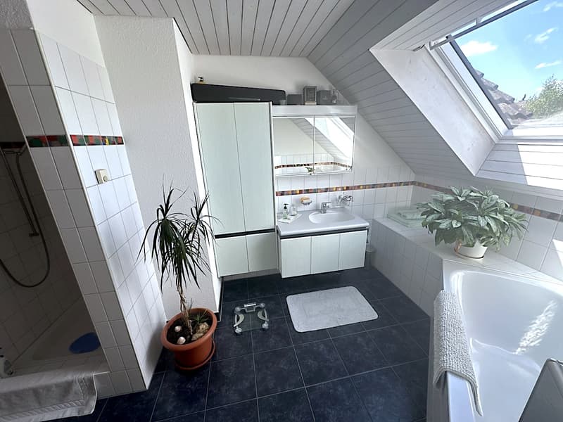 Appartement lumineux 2.5 pièces avec balcon (4)