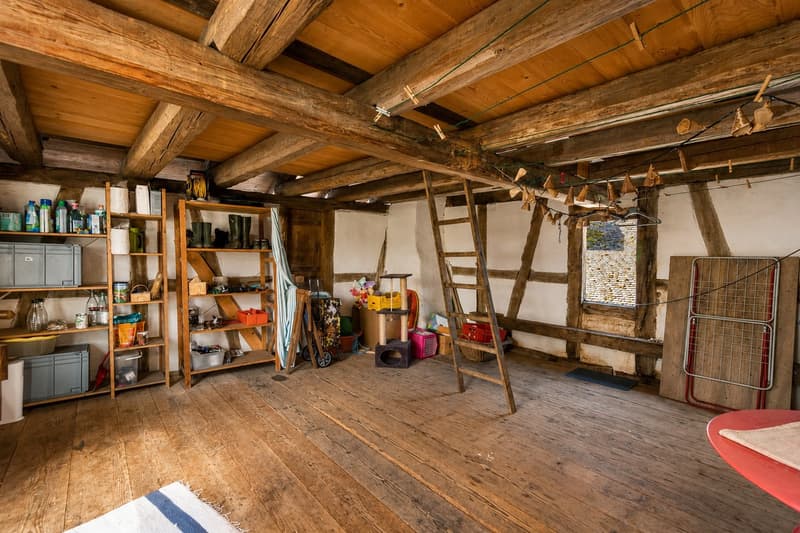 Ein Haus mit Seele – historisches Bijou mit vielseitigen Möglichkeiten (9)