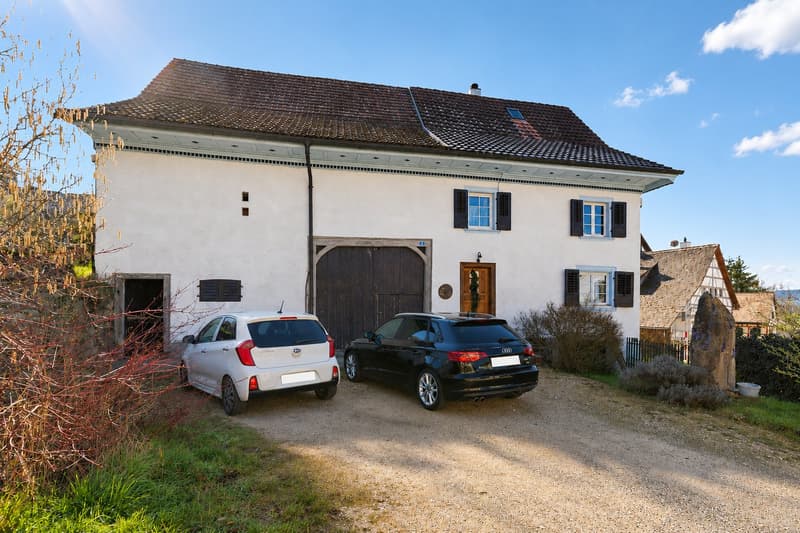 Ein Haus mit Seele – historisches Bijou mit vielseitigen Möglichkeiten (11)