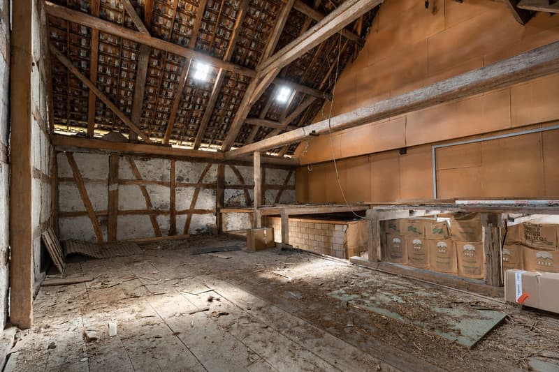 Ein Haus mit Seele – historisches Bijou mit vielseitigen Möglichkeiten (12)