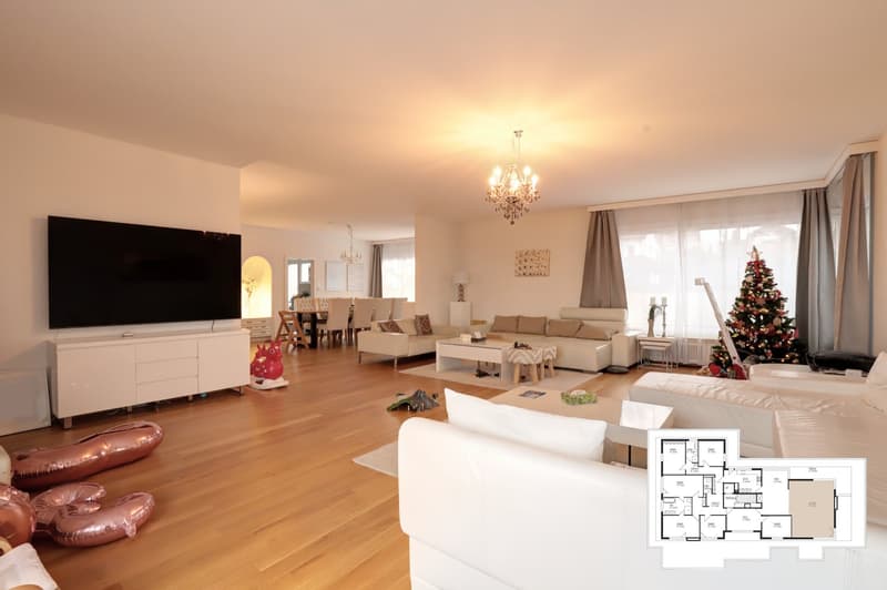 240 m² Penthouse mit Panorama-Bodenseeblick und 210 m² Terrasse (5)