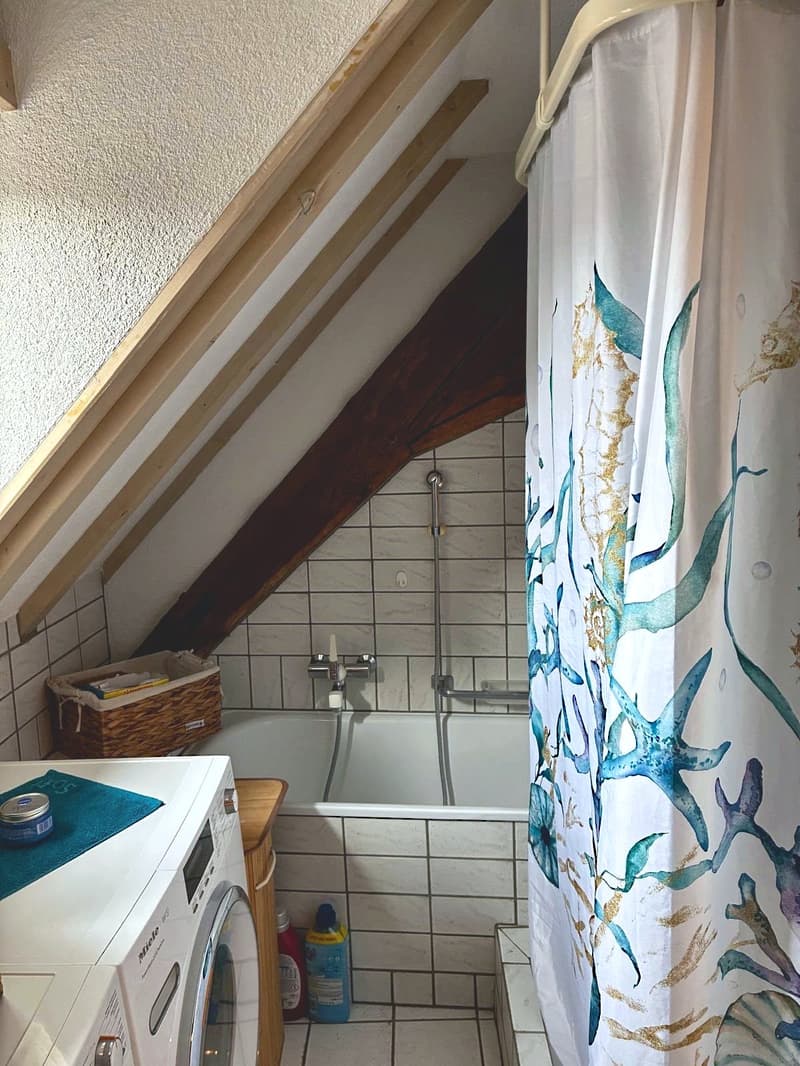 Charmante 3-Zimmer-Dachwohnung mit Sichtbalken und Schwedenofen (10)